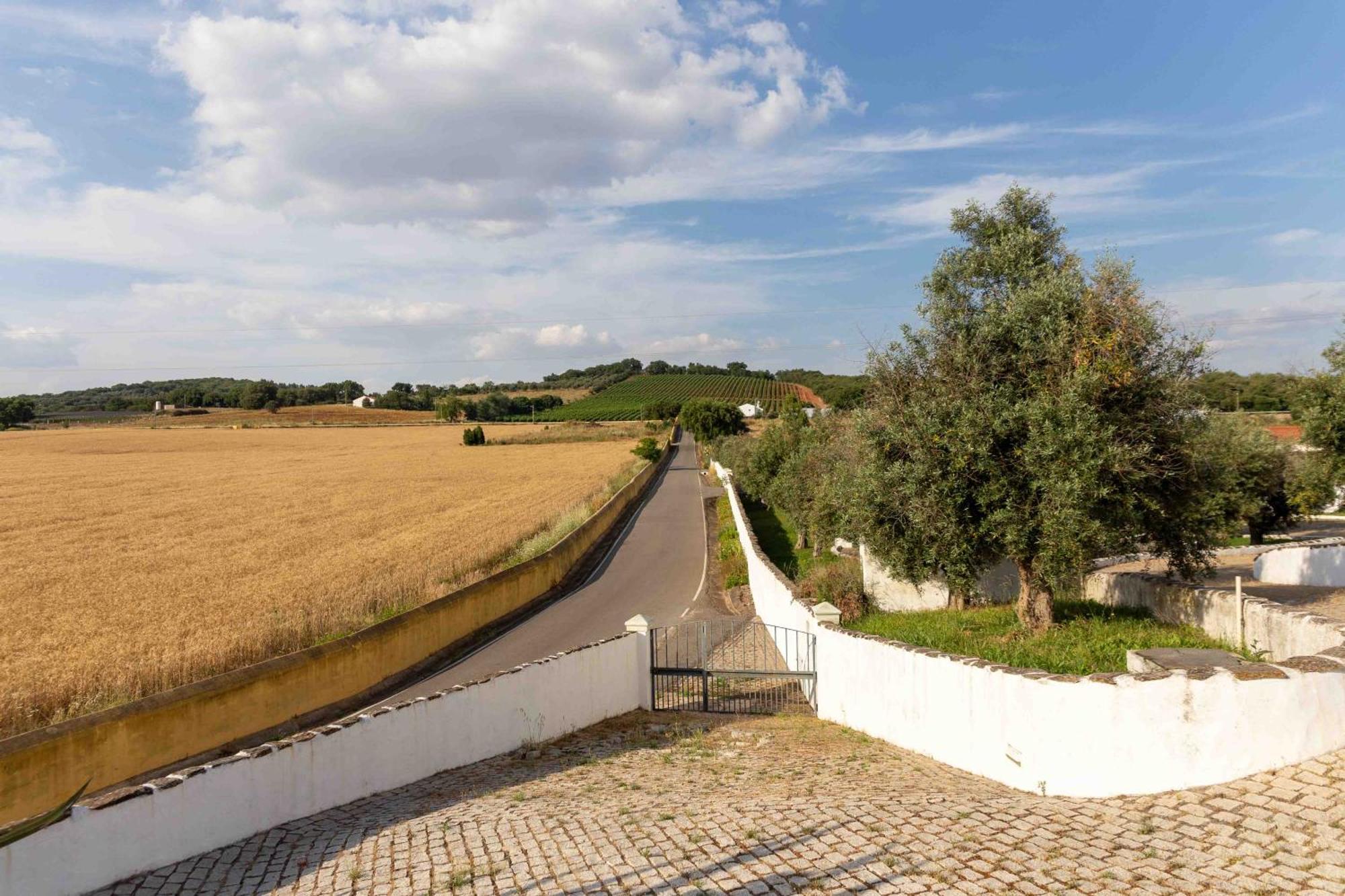 Monte Das Oliveiras - Casas De Campo Estremoz Bagian luar foto