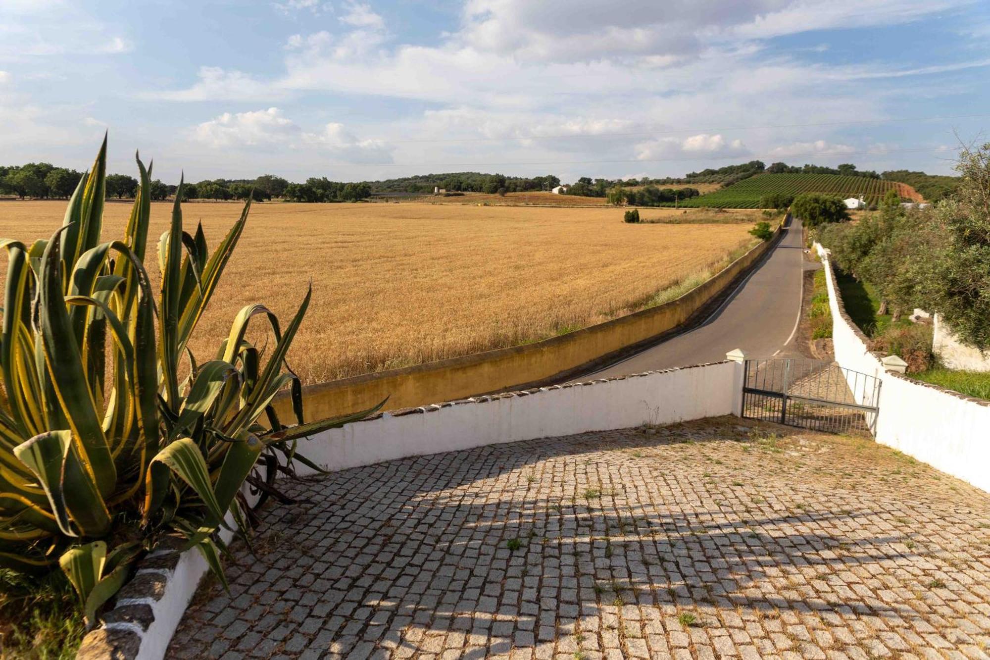 Monte Das Oliveiras - Casas De Campo Estremoz Bagian luar foto