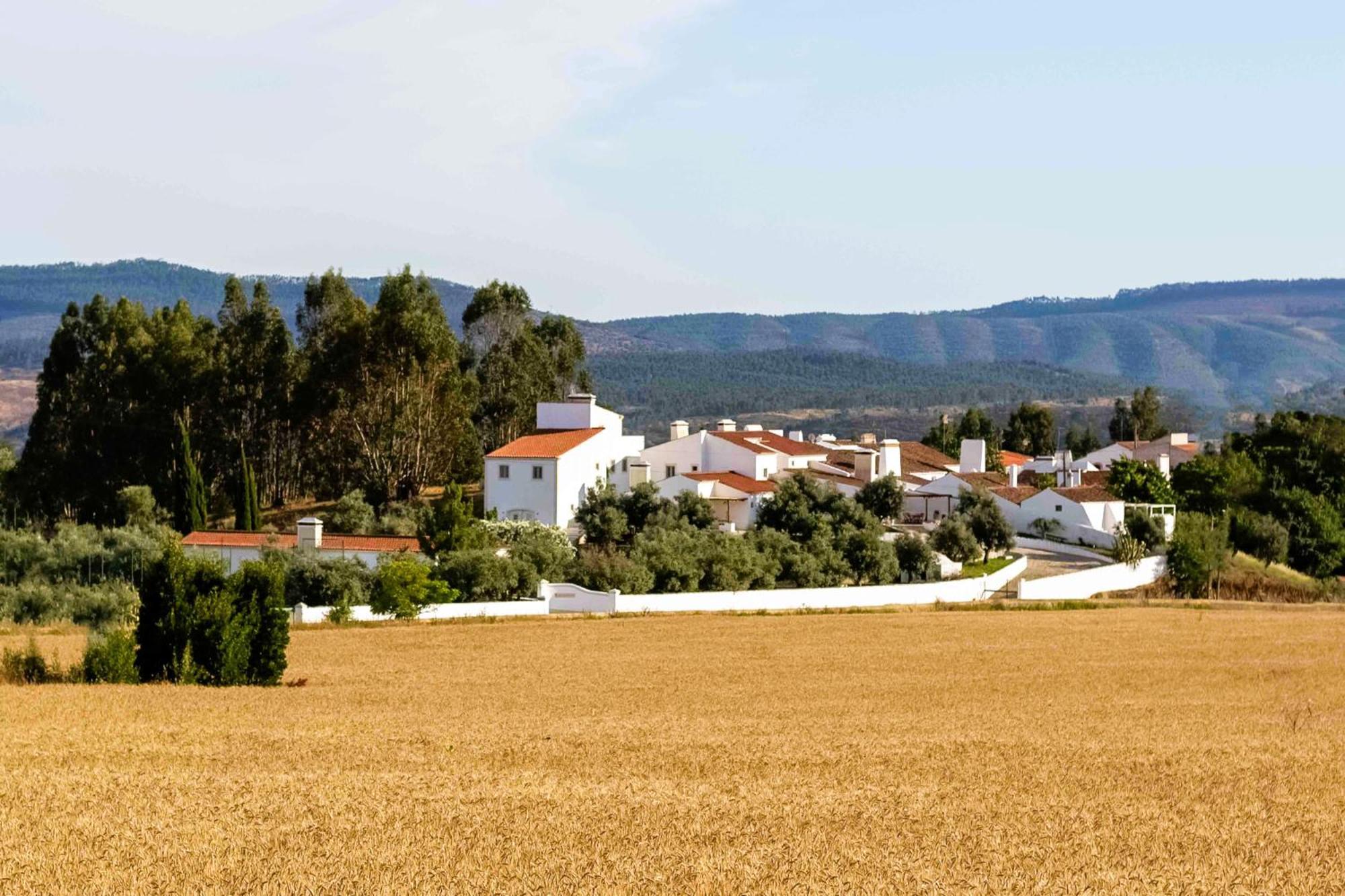 Monte Das Oliveiras - Casas De Campo Estremoz Bagian luar foto